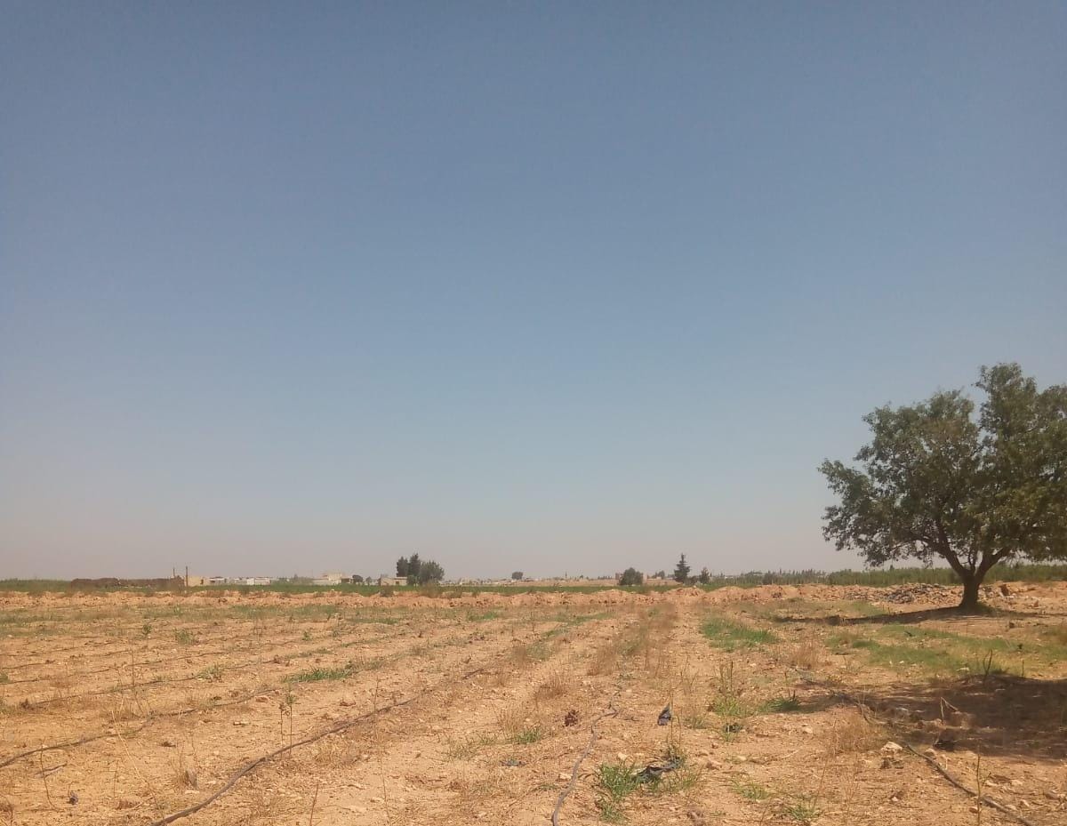 الحدود الشرقية بين لبنان وسوريا: ارتفاع الطلب على السلاح