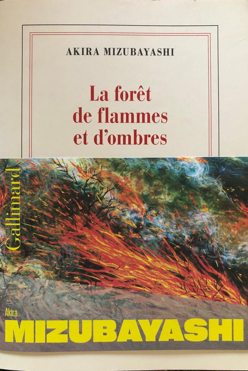 La Forêt de Flammes et D'ombres