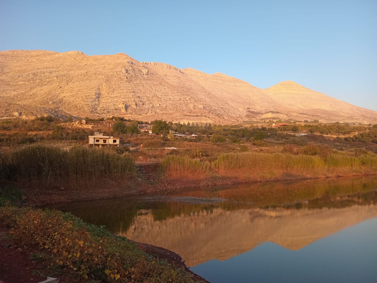 صورة توضيحية للمقال: الخريف كمصنع كبير للدهشة