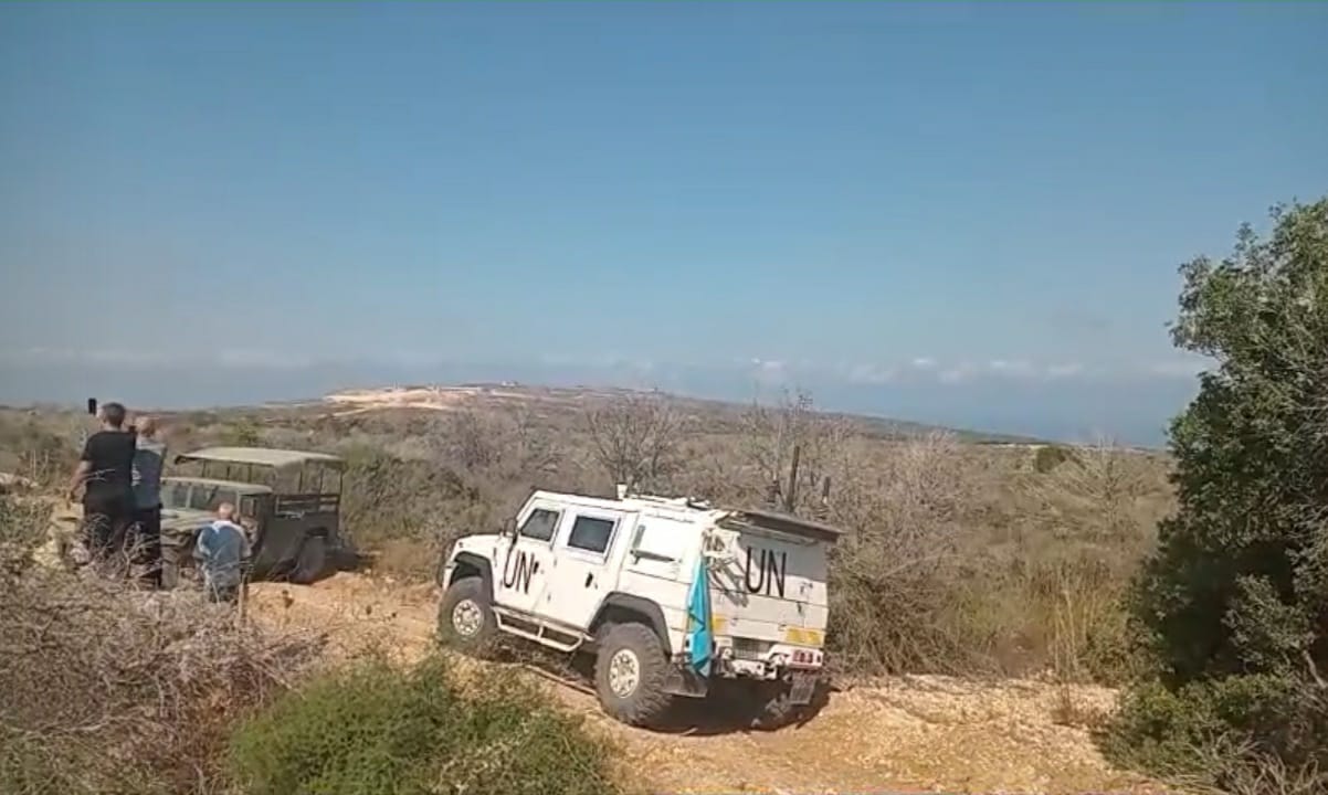 زراعة الزيتون في الجنوب انهكتها الحرب حرائق واقتلاع الاف الاشجار