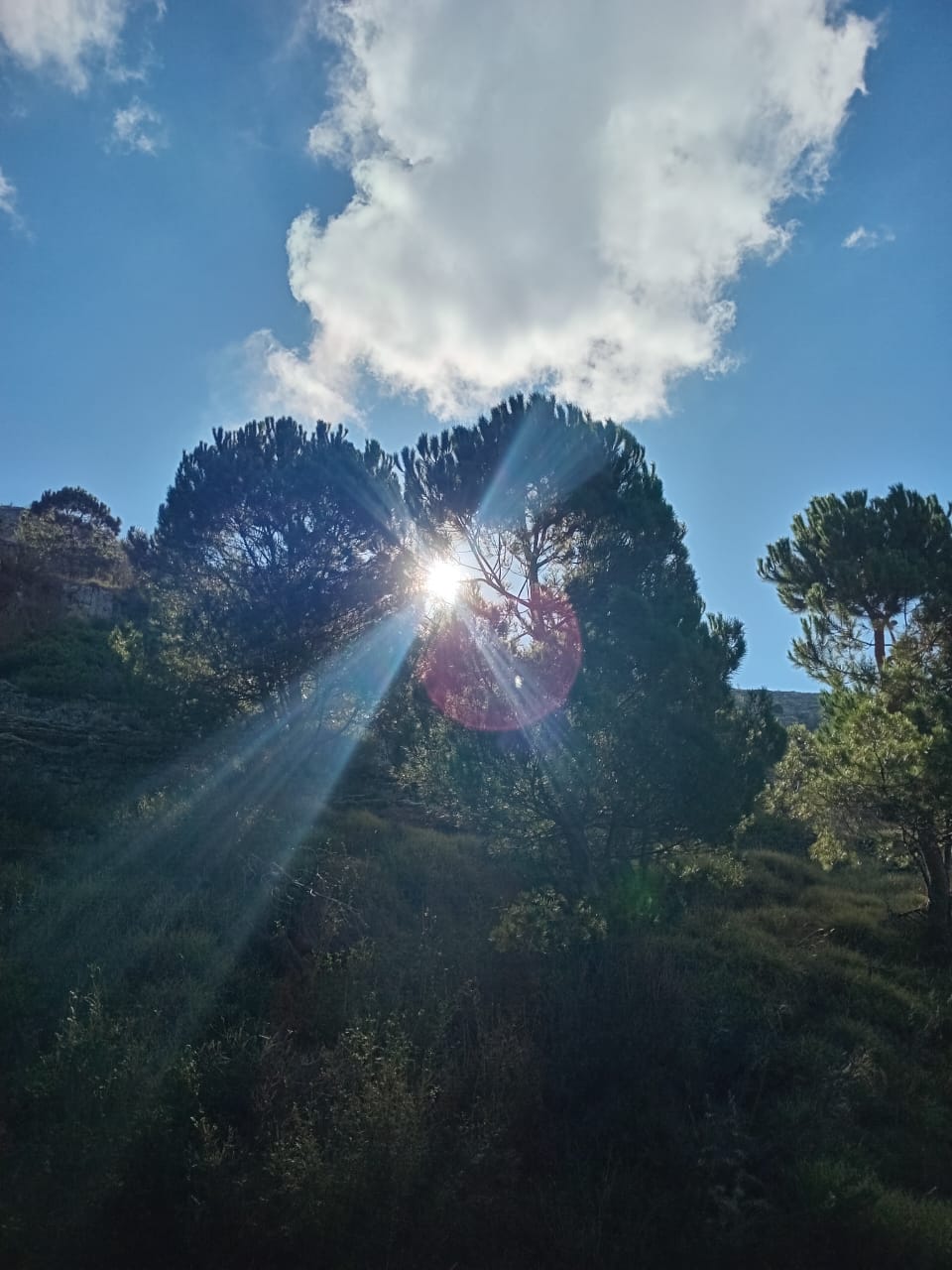 صورة توضيحية للمقال: ما يقوله الخريف للشتاء