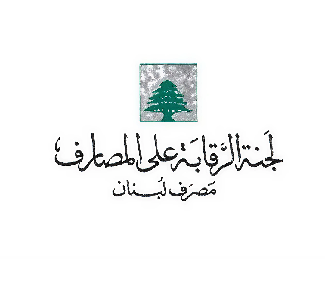 صورة توضيحية للمقال: لجنة داخل اللجنة: كيف نرفع السرية المصرفية؟